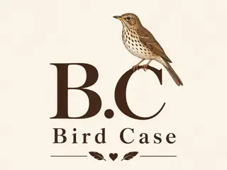 Bird Case, photo from the shop’s 2BB2 page